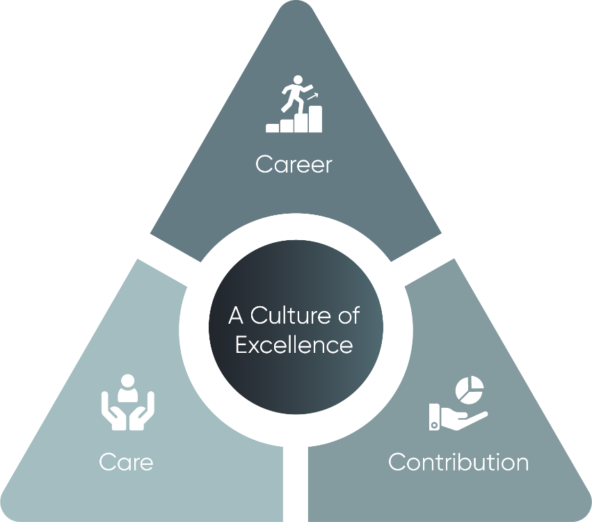 culture of excellence diagram